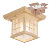 Потолочный светильник с лампочкой Velante 592-717-01+Lamps А60