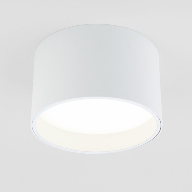 Накладной светодиодный светильник Elektrostandard 25123/LED Banti (a058846)