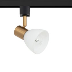 Однофазный светильник для трека Falena Arte Lamp A3117PL-1BK