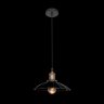 Подвесной светильник Loft IT Loft1101