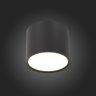 Светильник потолочный ST-Luce ST113.442.09