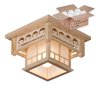 Потолочный светильник с лампочкой Velante 513-717-01+Lamps А60