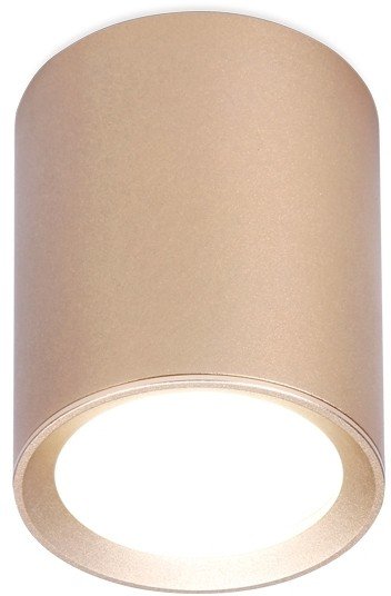 Потолочный светильник Ambrella light Techno Spot TN216