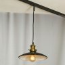 Однофазный светильник на подвесе для трека Glen Cove Lussole Loft LSP-9604-TAB