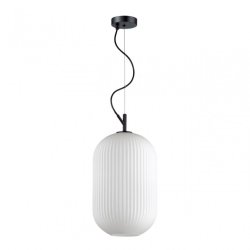 Подвесной светильник Odeon Light Roofi 4752/1