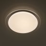 Люстра светодиодная с пультом RGB Citilux Спутник CL734480G