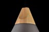 Подвесной светильник Maytoni Bicones P359-PL-220-C