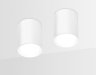 TN215 WH/S Накладной точечный светильник Ambrella light Techno