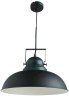 Подвесной светильник Arte Lamp Martin A5213SP-1BG