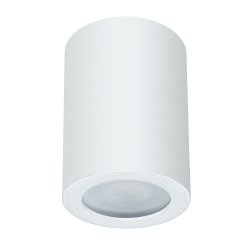 Накладной светильник Arte Lamp Tino A1468PL-1WH