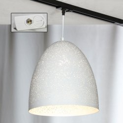 Однофазный светильник на подвесе для трека Lussole Lgo Port chester LSP-9891-TAW