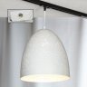 Однофазный светильник на подвесе для трека Lussole Lgo Port chester LSP-9891-TAW
