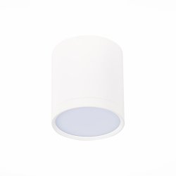 Светильник потолочный ST-Luce ST113.542.05