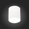 Светильник потолочный ST-Luce ST113.542.05