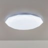 Люстра светодиодная с пультом RGB Citilux Астрон CL733480G