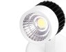 Встраиваемый спот Ambrella light Techno Led TN101/7W WH/BK