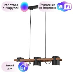 Подвесная люстра F-Promo Scandy с поддержкой Маруся 3004-3P-М