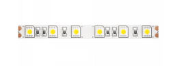 5м. Светодиодная лента холодного цвета 6000К, 14,4W, 24V, 60LED, IP20 Led strip Maytoni 10170