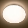 Люстра светодиодная с пультом RGB Citilux Симпла CL714480G