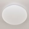 Люстра светодиодная с пультом RGB Citilux Симпла CL714480G