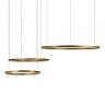 Светильник подвесной светодиодный Loft It Ring 10017/3L
