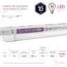 Набор из 25 шт, LED T8-10W-865-G13-600mm Лампа светодиодная, диод, трубка,10Вт, 6500К, поворотный G13 Эра Б0033000
