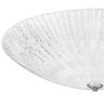 Потолочный светильник Lightstar Zucche 820860