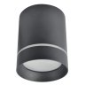 Накладной потолочный светильник Arte Lamp ELLE A1949PL-1BK