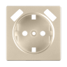Накладка для USB розетки (шампань) Werkel W1179511