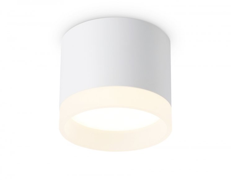 Накладной светильник Ambrella light Techno Spot Acrylic Frost TN5365