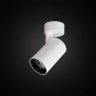 Спот светодиодный Тубус Citilux CL01B070N