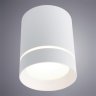 Накладной потолочный светильник Arte Lamp ELLE A1949PL-1WH