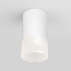 Уличный светодиодный светильник Elektrostandard Light LED 2106 IP54 35139/H белый (a057157)