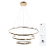 Подвесная люстра с пультом ДУ Arte Lamp Meridiana A2198SP-3GO
