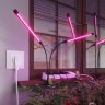 Розетка Wi-Fi (белый) Werkel W1171601