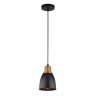 Светильник с лампочкой Arte Lamp Eurica A4248SP-1BK+Lamps