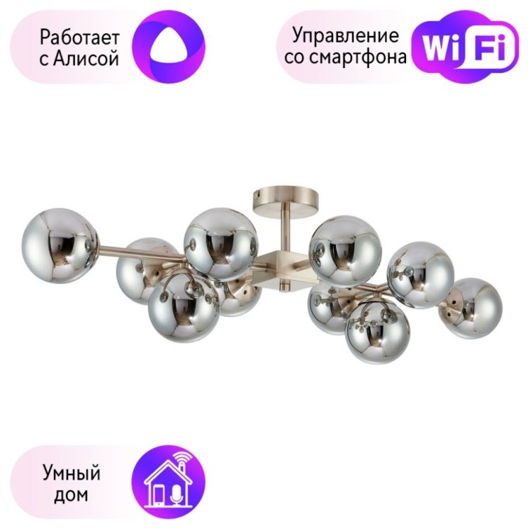 Потолочная люстра Favourite Varietas с поддержкой Алиса 2650-10U-A