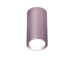 Потолочный светильник Ambrella light Techno Spot TN220
