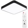 Светодиодный настенно-потолочный светильник с ПДУ Arte Lamp A2663Pl-1BK