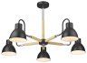 Люстра на штанге с лампочками Velante 230-023-05+Lamps E27 P45