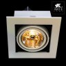 Встраиваемый светильник Arte Lamp Technika A5930PL-1WH