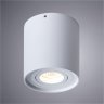 Светильник с лампочкой Arte Lamp Falcon A5645PL-1WH+Lamps Gu10