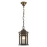 Уличный подвесной светильник с лампочкой  Favourite 1458-1P+Lamps А60
