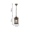 Уличный подвесной светильник с лампочкой  Favourite 1458-1P+Lamps А60