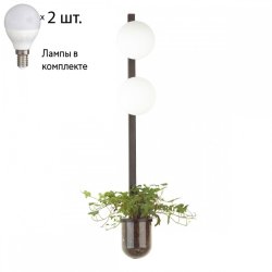 Бра с лампочками Odeon Light Flower 4681/2WA+Lamps E14 P45