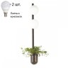 Бра с лампочками Odeon Light Flower 4681/2WA+Lamps E14 P45