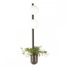 Бра с лампочками Odeon Light Flower 4681/2WA+Lamps E14 P45
