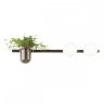 Бра с лампочками Odeon Light Flower 4681/2W+Lamps E14 P45