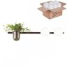 Бра с лампочками Odeon Light Flower 4681/2W+Lamps E14 P45