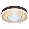 Потолочная светодиодная люстра с пультом ДУ iLedex Summery B6317-104W/520 Белый